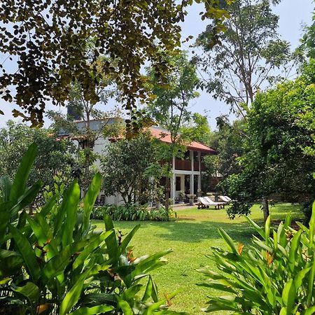 Villa Arana Bentota Eksteriør bilde