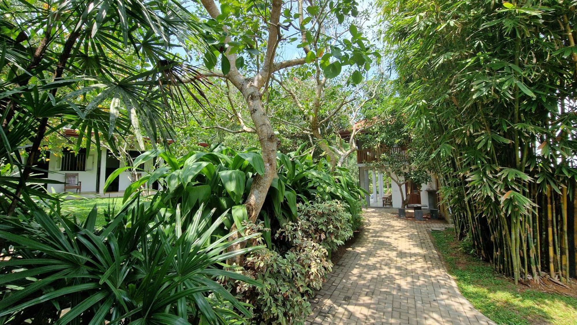 Villa Arana Bentota Eksteriør bilde