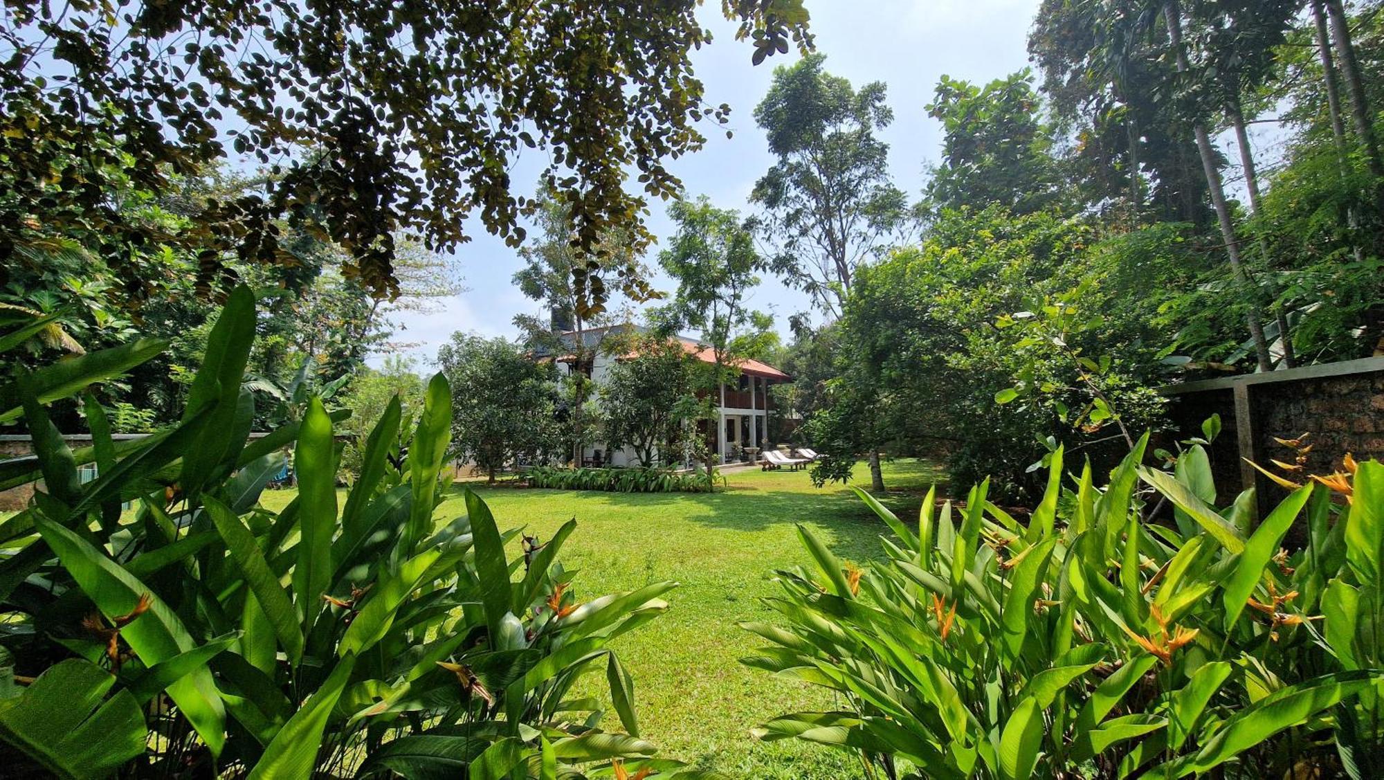 Villa Arana Bentota Eksteriør bilde