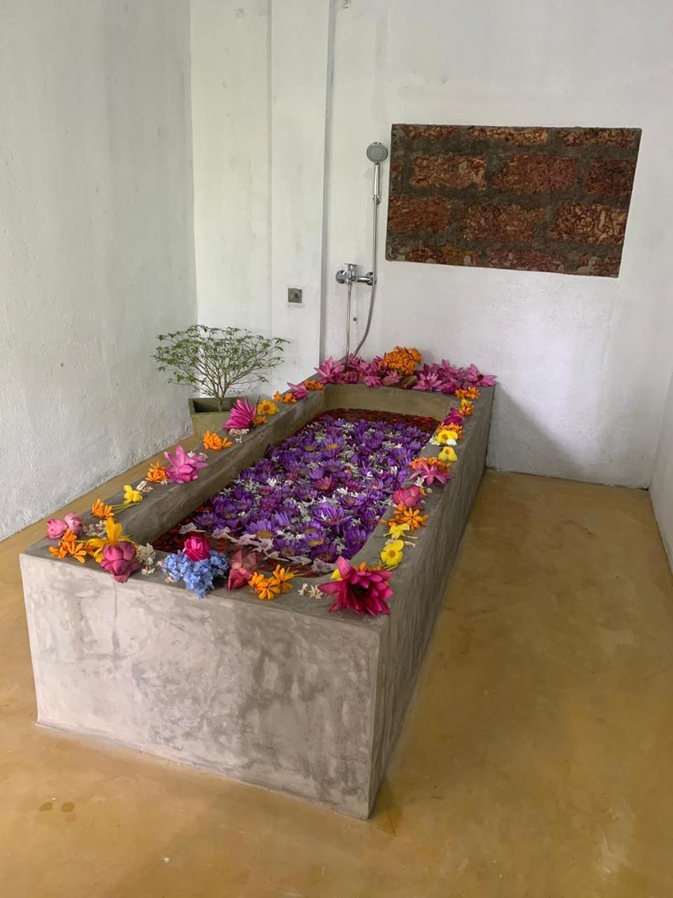 Villa Arana Bentota Eksteriør bilde